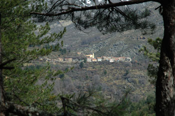 Calasima