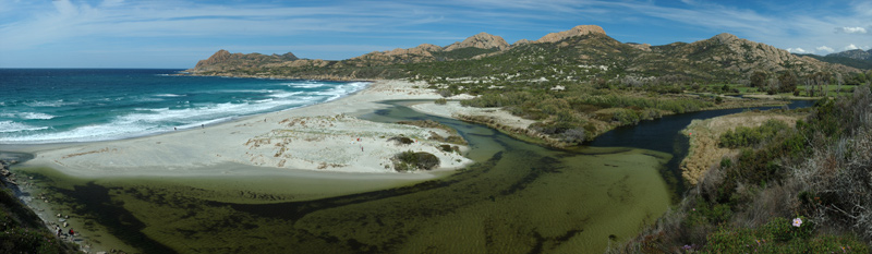 Ostriconi