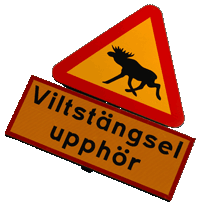 Elchschild
