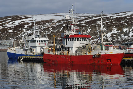 Der eisfreie Hafen von Hammerfest
