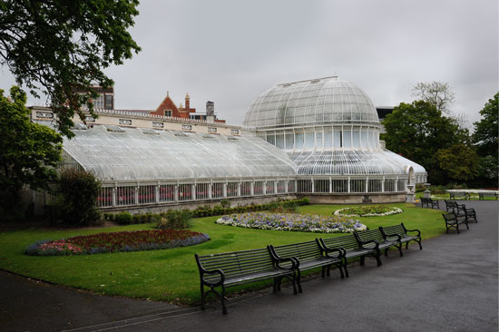The Palm House - Belfast