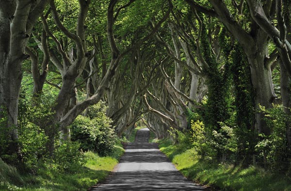 Bregagh Road