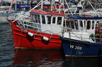 Im Hafen von Greencastle