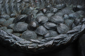 Cockles and Mussels