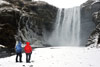 Sk�gafoss - Island