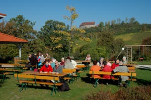 Weinberg Bewirtungshaus