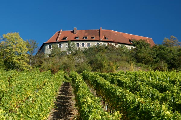 Burg Hoheneck
