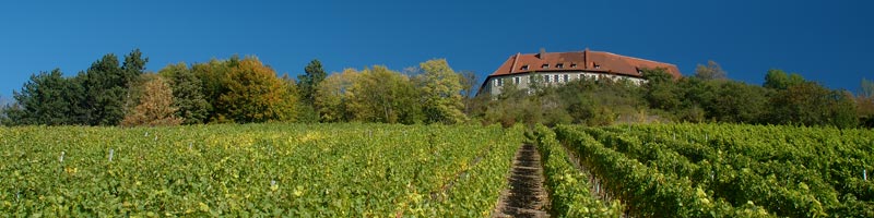 Burg Hoheneck, Ipsheim
