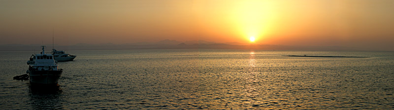 �gypten, Red Sea - Reef