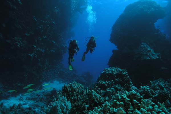 Riffschlucht, Malahi (Fury Shoal, Rotes Meer)